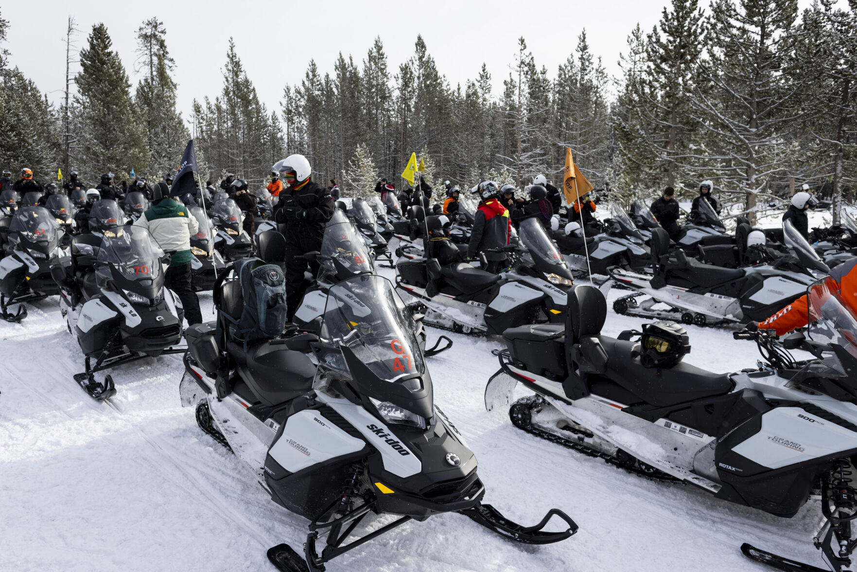 Yellowstone in Winter